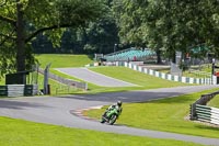 Lower Group Green Bikes